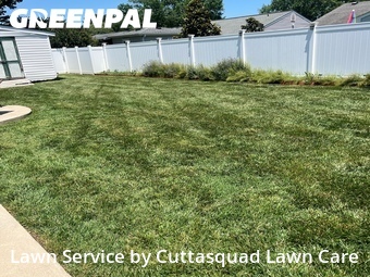 Grass Cutting nearby Virginia Beach, VA, 
