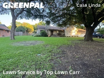 Grass Cutting nearby Dallas, TX, 