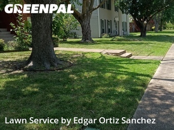Yard Mowing nearby Mc Kinney, TX, 