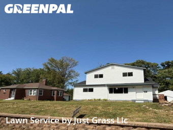 Lawn Carein Belleville,62223,Lawn Mow by Just Grass Llc, work completed in Nov , 2025