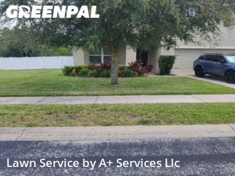 Grass Cutting nearby Spring Hill, FL, 