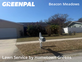 Lawn Mowin Tampa,33624,Lawn Maintenance by Hometown Greens , work completed in Feb , 2026