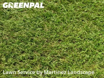 Weed Trimming in Eustis, 32726, Front Yard Mowing by Martinez Landscape, work completed in Oct , 2025