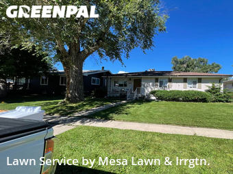 Grass Cutting nearby Englewood, CO, 