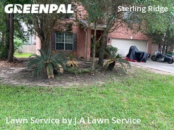 Lawn Mowin The Woodlands,77382,Lawn Cutting by J.A Lawn Service, work completed in Oct , 2025
