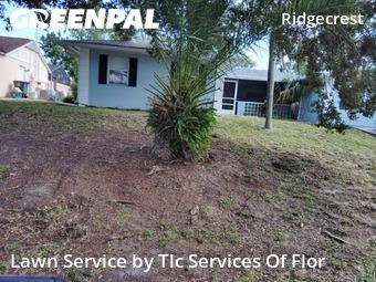 Lawn Cut nearby Daytona Beach, FL, 