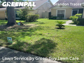 Lawn Mow nearby Brandon, FL, 