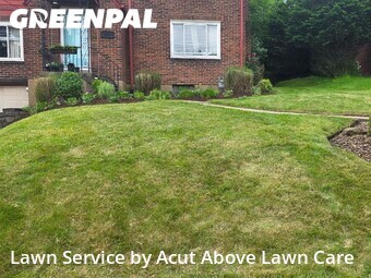 Lawn Mowing nearby Pittsburgh, PA, 