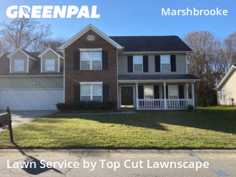 Yard Cutting nearby Matthews, NC, 