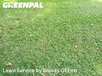 Lawn Mowing nearby Atlanta, GA, 
