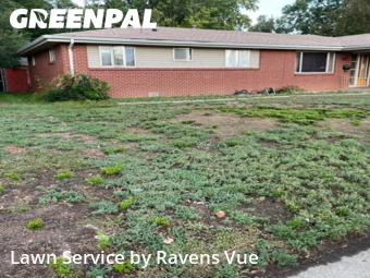 Lawn Servicein Longmont,80501,Lawn Maintenance by Ravens Vue, work completed in Jan , 2026