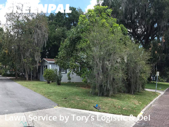 Lawn Mowing Service nearby Lakeland, FL, 