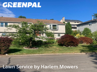 Yard Management in New Rochelle, 10804, Yard Grooming by Harlem Mowers, work completed in Dec , 2025