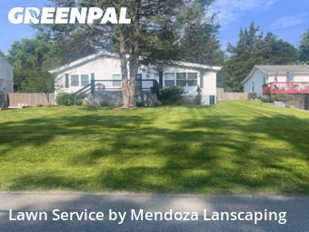 Lawn Cut nearby Silver Spring, MD, 