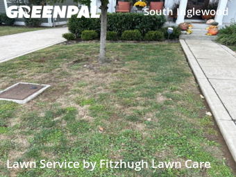Lawn Mow nearby Nashville, TN, 