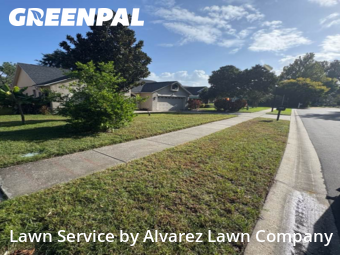 Lawn Mowingin Ocoee,34761,Lawn Care Service by Alvarez Lawn Company, work completed in Nov , 2025