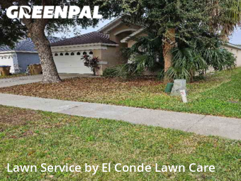 Grass Cut nearby Kissimmee, FL, 