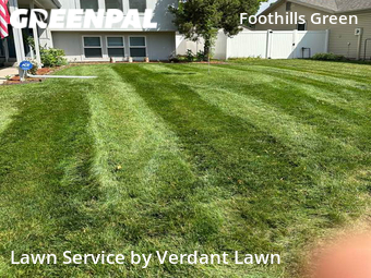 Lawn Cut nearby Fort Collins, CO, 