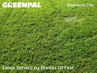 Lawn Care nearby Atlanta, GA, 