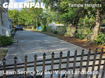Grass Cut nearby Tampa, FL, 