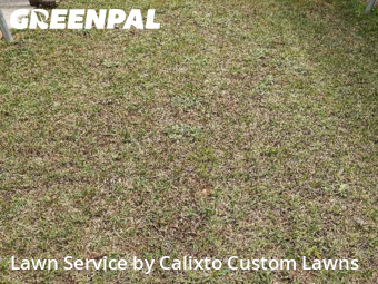 Lawn Cut nearby Fort Worth, TX, 