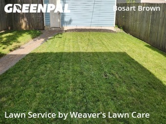 Lawn Maintenance nearby Indianapolis, IN, 