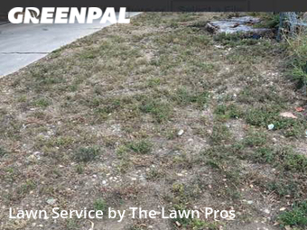 Lawn Care nearby Longmont, CO, 