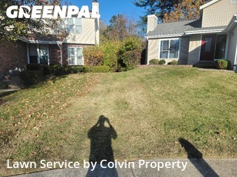 Lawn Mowing nearby St. Louis, MO, 