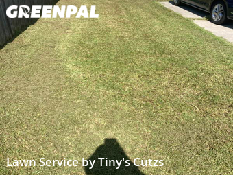 Grass Cutting nearby Valdosta, GA, 