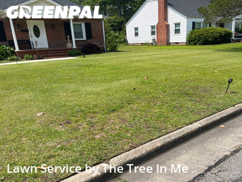 Lawn Cut nearby Jacksonville, NC, 