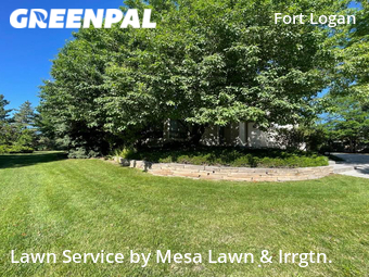 Yard Mowing nearby Denver, CO, 