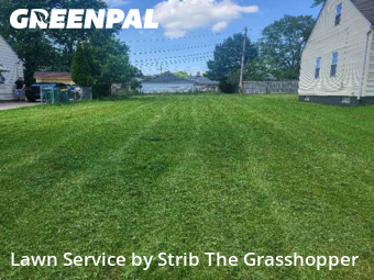 Lawn Cut nearby Maple Heights, OH, 