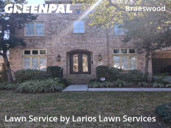 Lawn Care Servicein Houston,77025,Lawn Mow by Larios Lawn Services, work completed in Jan , 2026