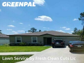 Lawn Cut nearby Spring Hill, FL, 