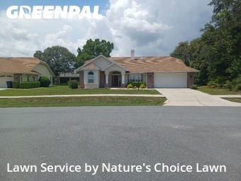 Lawn Mowing nearby Beverly Hills, FL, 