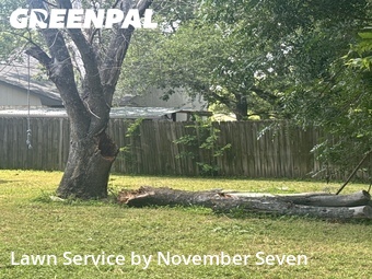 Lawn Mowing Service nearby Cedar Park, TX, 