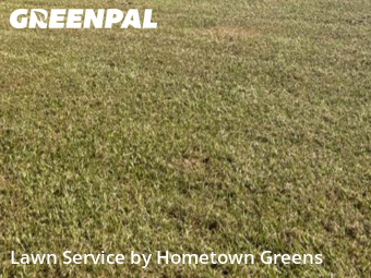 Lawn Mowing Service nearby Tampa, FL, 