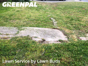 Lawn Maintenance nearby Charlotte, NC, 