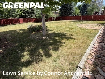 Yard Mowing nearby Parker, CO, 