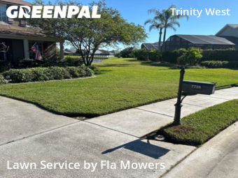 Lawn Mow nearby Trinity, FL, 