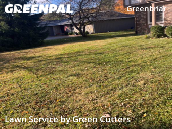 Grass Cutting nearby Indianapolis, IN, 