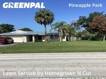Grass Cut nearby Port St. Lucie, FL, 