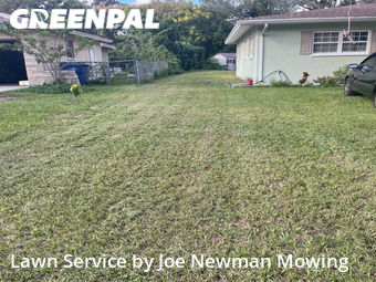 Grass Cut nearby Clearwater, FL, 