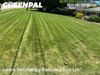 Lawn Mow nearby Virginia Beach, VA, 