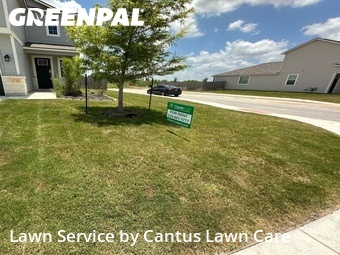 Yard Cutting nearby San Antonio, TX, 