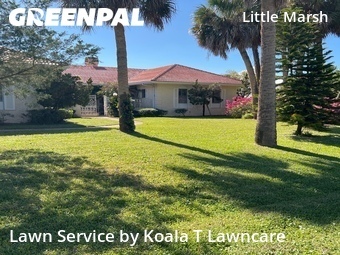 Grass Cut nearby Jacksonville, FL, 