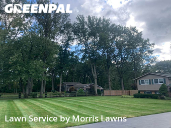 Lawn Care nearby Toledo, OH, 