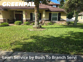 Grass Cuttingin Yulee,32097,Lawn Mowing by Bush To Branch Servi, work completed in Dec , 2025