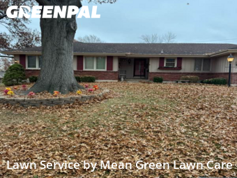 Yard Care in Independence, 64055, Weed Trimming by Mean Green Lawn Care, work completed in Dec , 2025