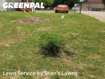 Lawn Mowing Service nearby Oxford, AL, 